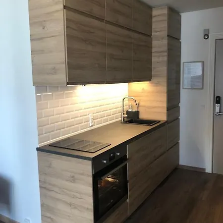 Marienlyst Apartment Helsingor